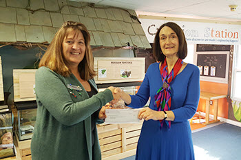 Chelsea Groton Foundation